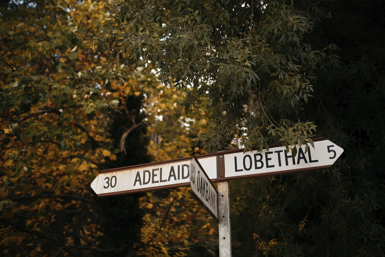 Drive through the Adelaide Hills South Australia